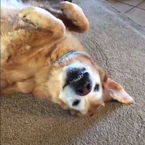 Meet your Posher, Christy